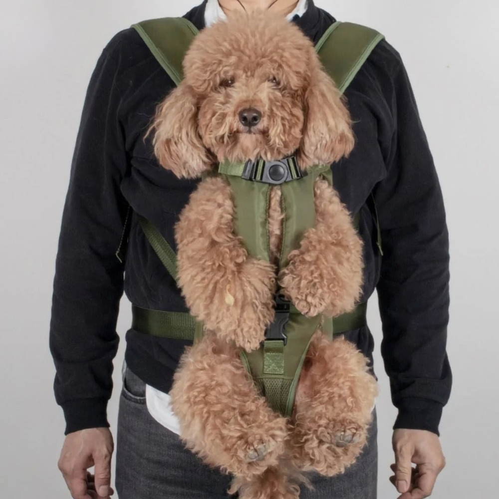 Tailup Dog Carrier - Picture 2 of 8